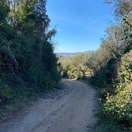 El Niuet Del Bosc קאלדס דה מונטבוי