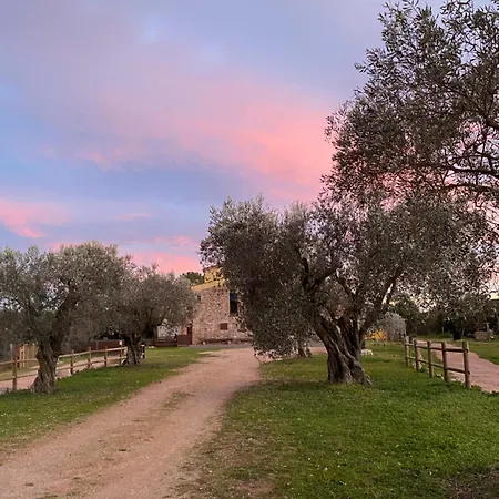 El Niuet Del Bosc קאלדס דה מונטבוי