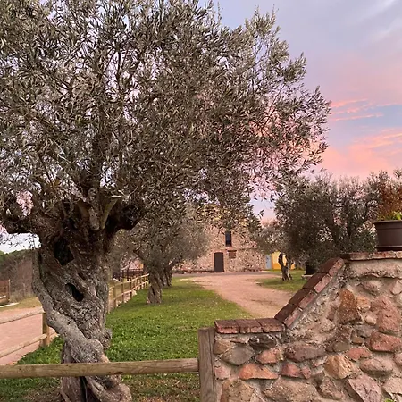 El Niuet Del Bosc אוהל מפואר *