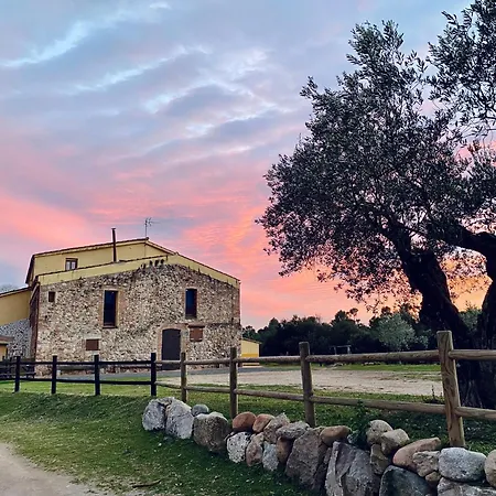 El Niuet Del Bosc Caldes De Montbui