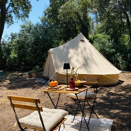El Niuet Del Bosc Caldes De Montbui